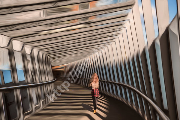 Across The Lights II