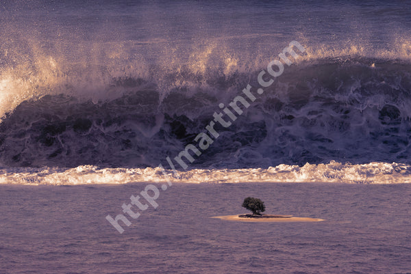 Afternoon At The Island 1