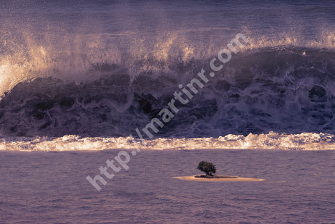 Afternoon At The Island 1