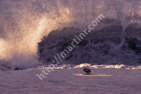 Afternoon At The Island 2