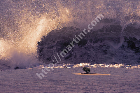 Afternoon At The Island 2