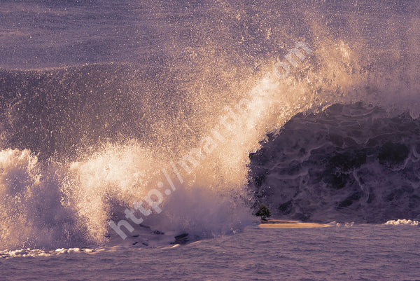 Afternoon At The Island 3