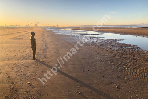 Crosby Loneliness II