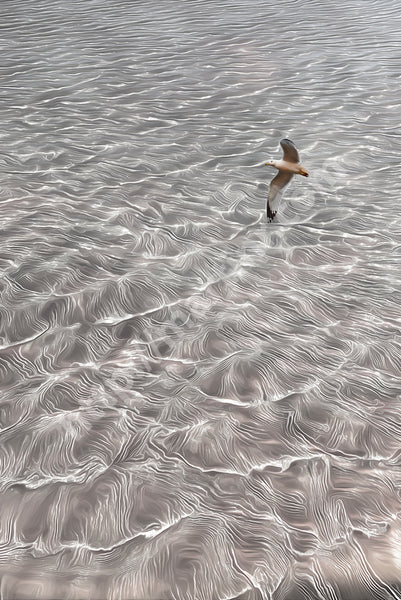 Floating Seagulls II