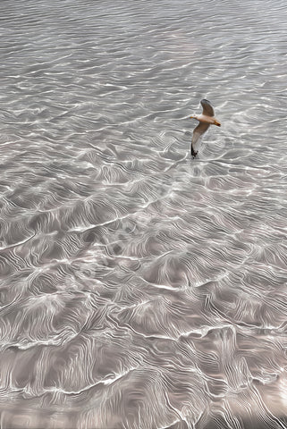 Floating Seagulls II