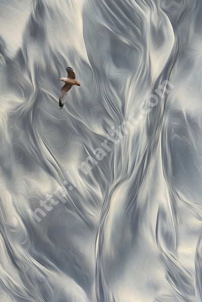 Floating Seagulls IV