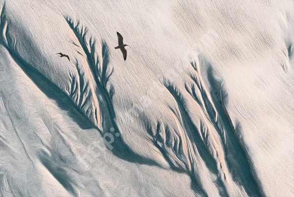 Floating Seagulls VII