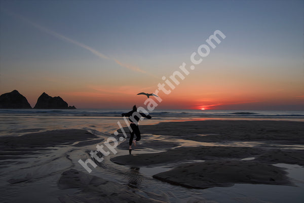 Holywell Bay Dancing Birds II