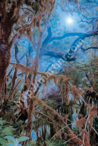 Magical Choreography