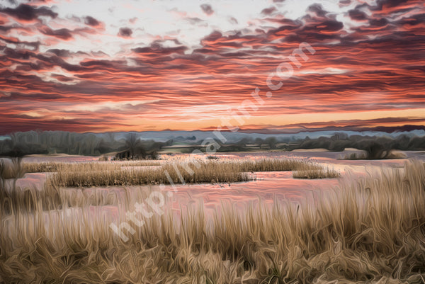 Moor Sunset