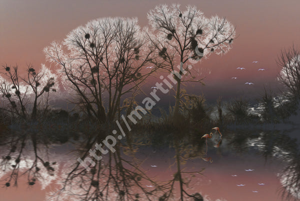 Mysterious Reflection