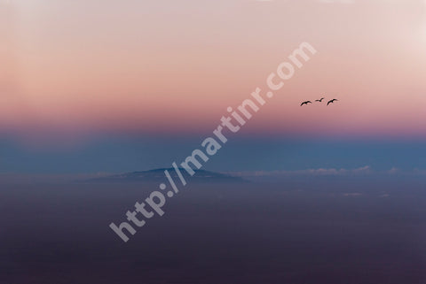 Peace And Tranquillity