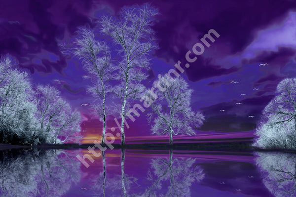 Purple Reflection