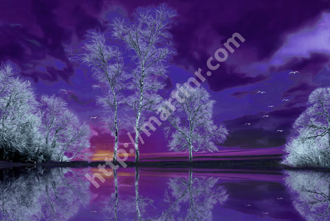 Purple Reflection