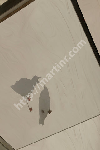 Seagull Encounter III