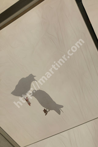 Seagull Encounter II