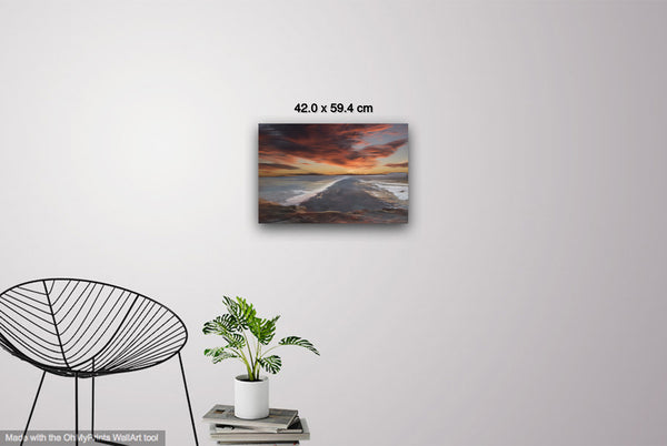 Seashore Infinity II