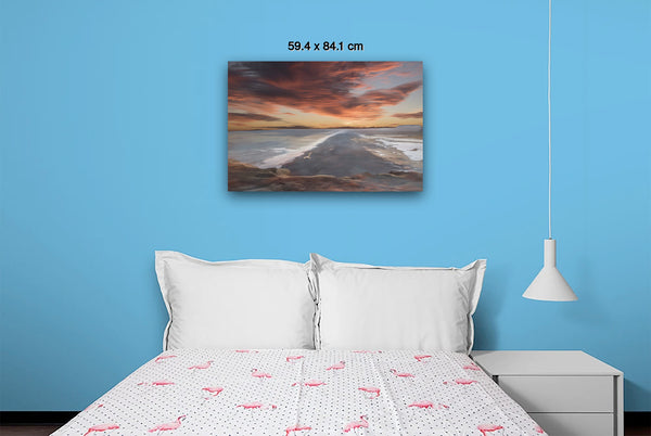 Seashore Infinity II