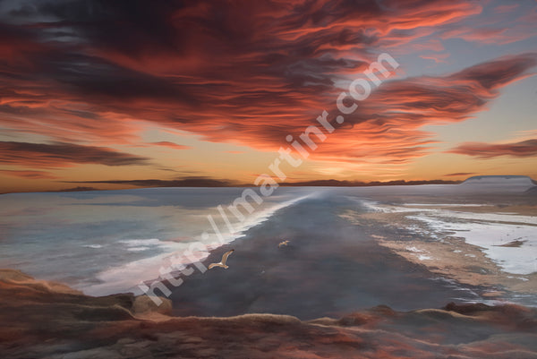 Seashore Infinity II