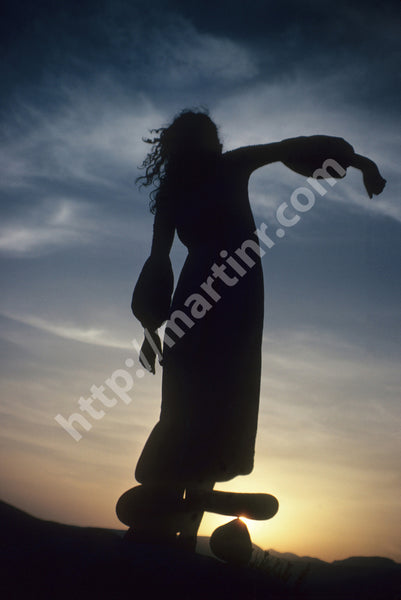 Silhouette II