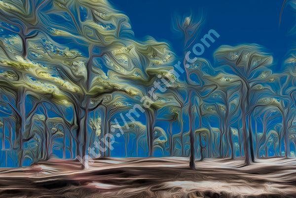 Standup Trees II
