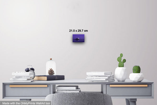 Super Moon St Michaells Mount Purple