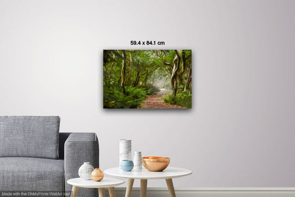Wood Path II